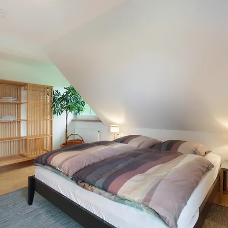 Fellagruen 아파트 *